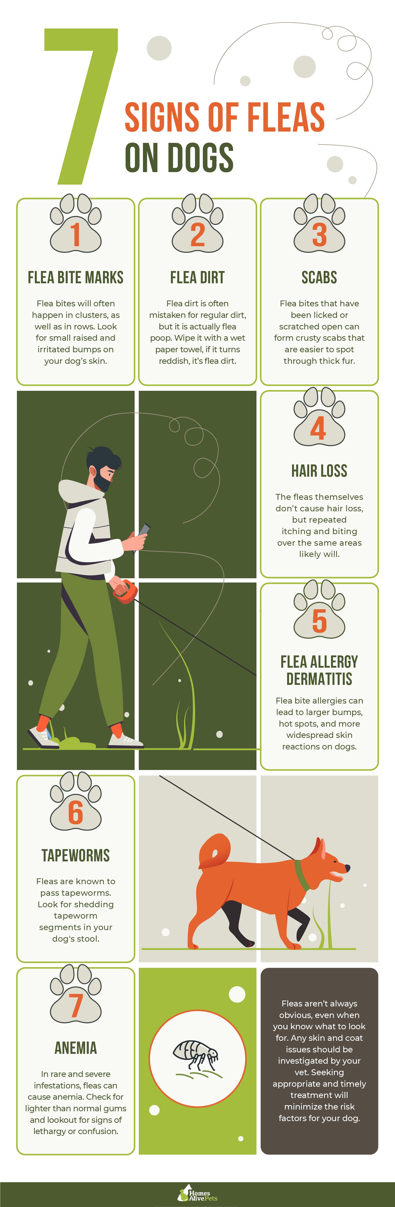 Signs Your Dog Has Fleas